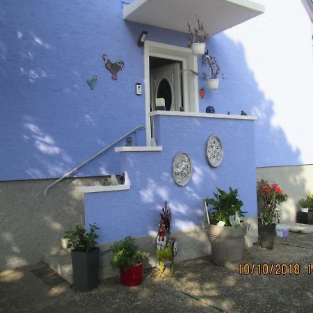 Gite Du Coq Lingolsheim Exterior foto