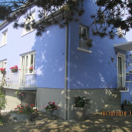 Gite Du Coq Lingolsheim Exterior foto